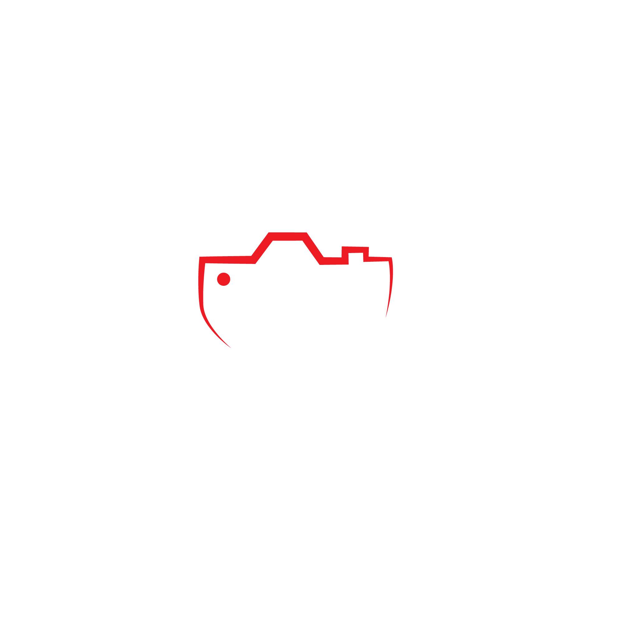 Styling Photos logo